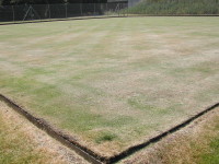 Helpringham Bowls Club green this summer.JPG