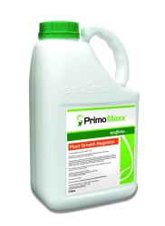 Primo Maxx low res for web