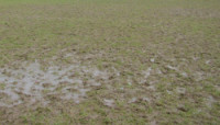 jan-2006-football-muddy-pit.jpg