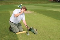 Cricket SoilSample2