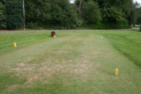 2006-golf-dry-dry-tee.jpg