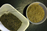 seed cleaning samples1.jpg