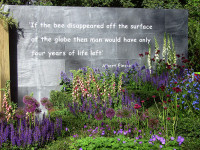 Pollinator friendly garden at Chelsea Flower Show May 2010 129
