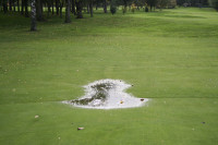 puddle on green