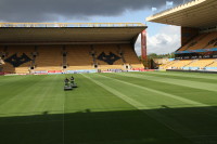 wolves new pitch 065