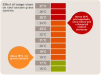 Temperature effects
