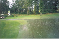 Water-runoff-from-a-golf-gr.jpg