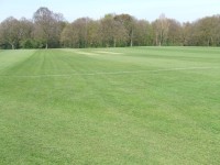 Grassform Ltd. Brentwood School cricket outfield.jpg