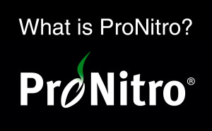 ProNitro Logo