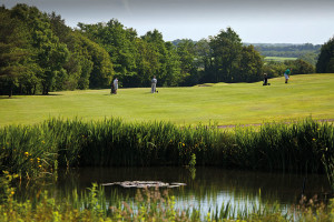 Brynhill Golf Club 6th hole