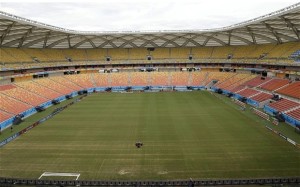 world cup pitch
