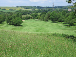 Brynhill Golf Club 7th hole