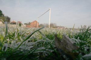 football frost3