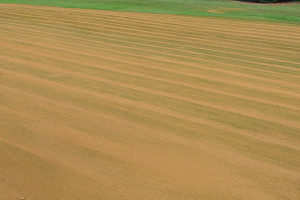 Shelton Sand Top Dressing over Secondary Drainage System